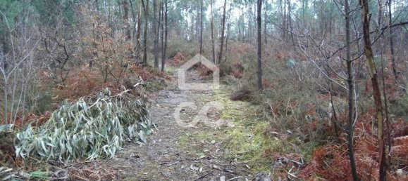 35300m² Land in Infantas, Portugal No. 149047 16