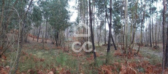 35300m² Land in Infantas, Portugal No. 149047 4