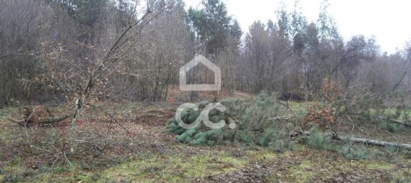 35300m² Land in Infantas, Portugal No. 149047 8