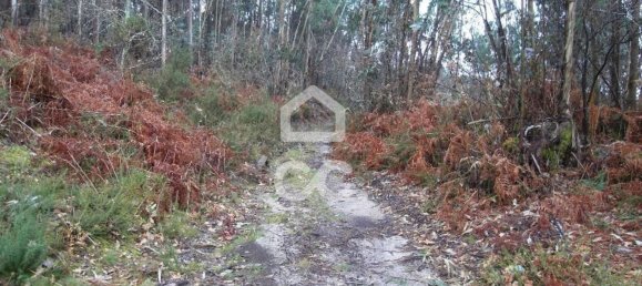 35300m² Land in Infantas, Portugal No. 149047 15
