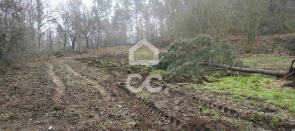 35300m² Land in Infantas, Portugal No. 149047 21