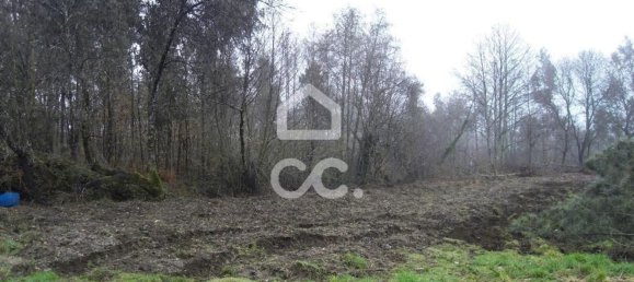35300m² Land in Infantas, Portugal No. 149047 18