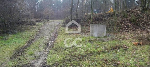 35300m² Land in Infantas, Portugal No. 149047 7