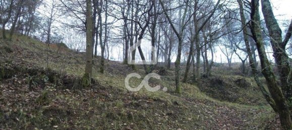 35300m² Land in Infantas, Portugal No. 149047 13