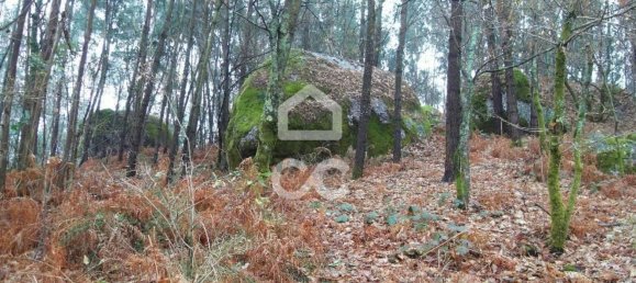 35300m² Land in Infantas, Portugal No. 149047 10
