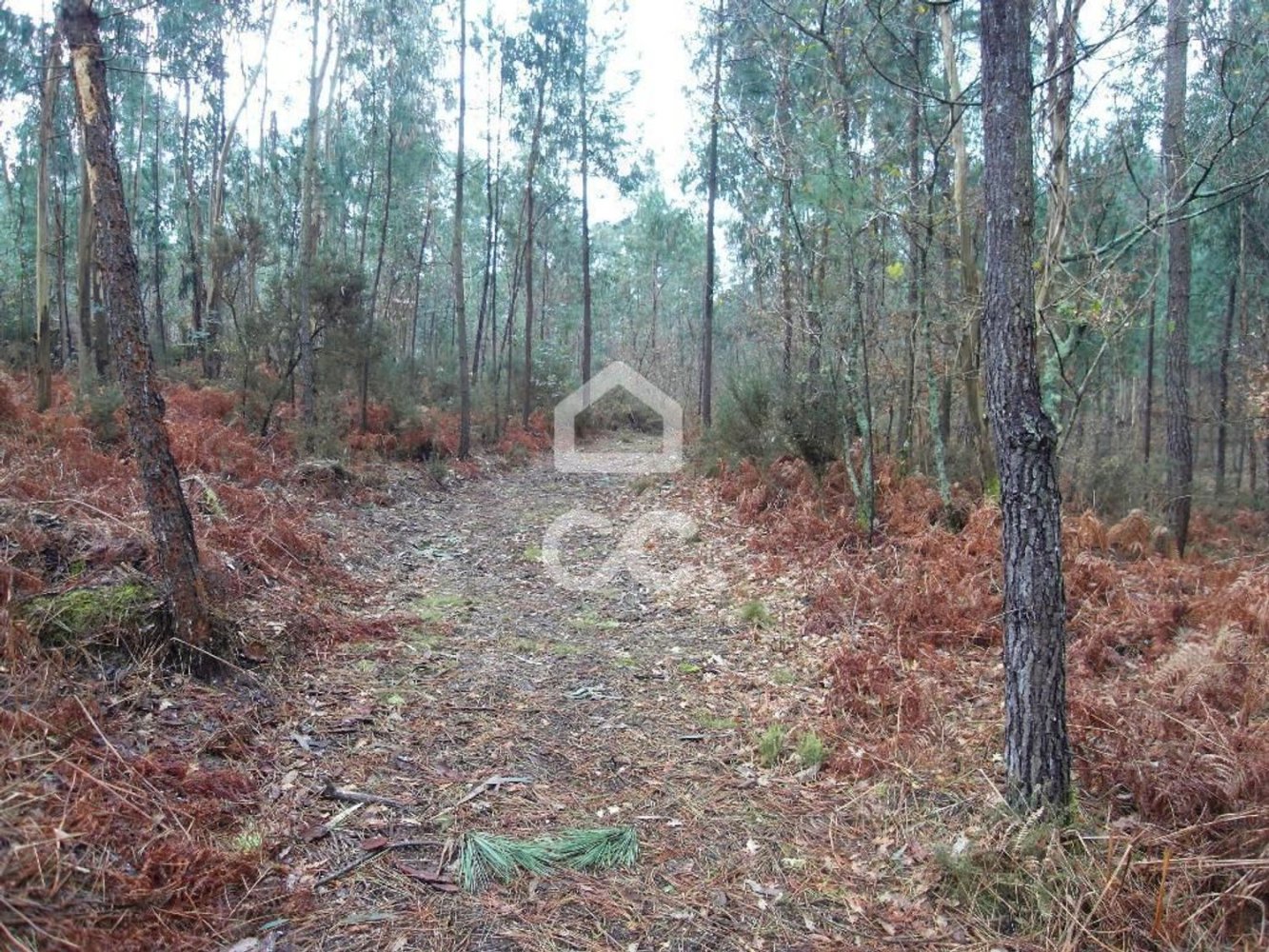 35300m² Land in Infantas, Portugal No. 149047