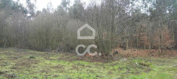 35300m² Land in Infantas, Portugal No. 149047 3