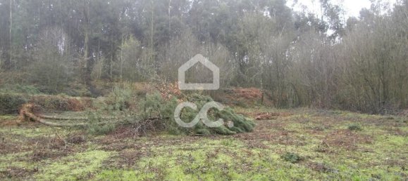 35300m² Land in Infantas, Portugal No. 149047 20