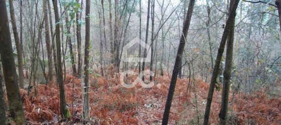 35300m² Land in Infantas, Portugal No. 149047 11