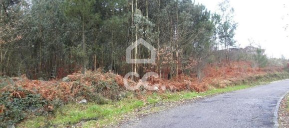 35300m² Land in Infantas, Portugal No. 149047 6