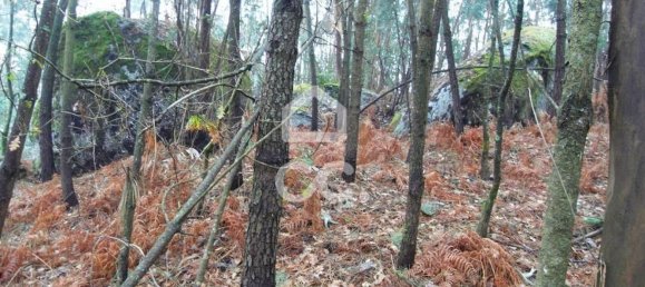 35300m² Land in Infantas, Portugal No. 149047 12