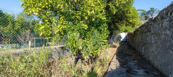 4 chambres Maison à Cernache, Portugal No. 65508 40