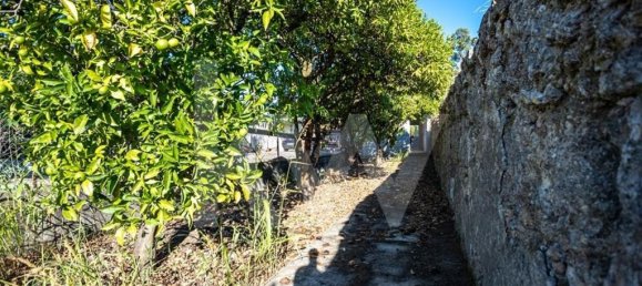 4 chambres Maison à Cernache, Portugal No. 65508 35