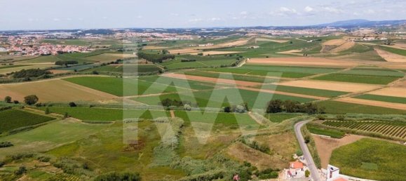 3 Schlafzimmer Haus in Torres Vedras, Portugal, Nr. 77137 19