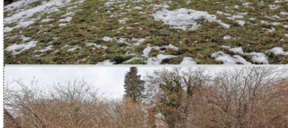 Terreno en Wetzelsdorf, Austria No. 251556 6