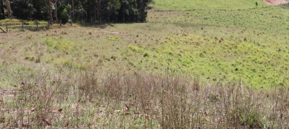 Земельный участок 80800м² в Veteran, Австралия № 954 11