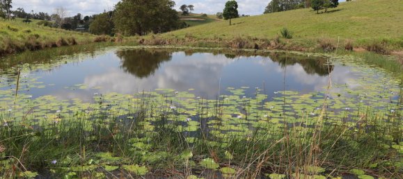 Земельный участок 80800м² в Veteran, Австралия № 954 17