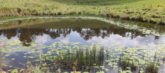 Земельный участок 80800м² в Veteran, Австралия № 954 2