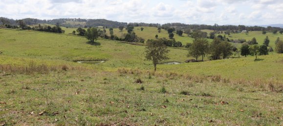 Земельный участок 80800м² в Veteran, Австралия № 954 6