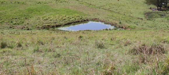 Земельный участок 80800м² в Veteran, Австралия № 954 13