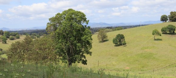 Земельный участок 80800м² в Veteran, Австралия № 954 21