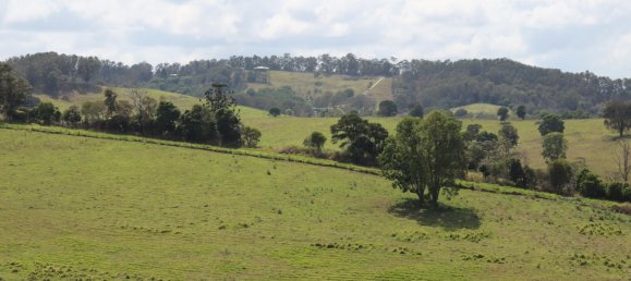 Земельный участок 80800м² в Veteran, Австралия № 954 8