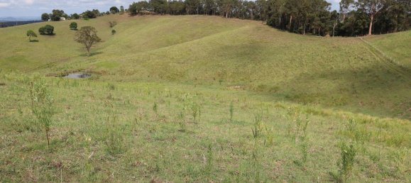 Земельный участок 80800м² в Veteran, Австралия № 954 22