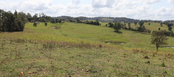 Земельный участок 80800м² в Veteran, Австралия № 954 3