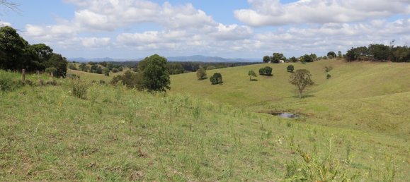 Земельный участок 80800м² в Veteran, Австралия № 954 19