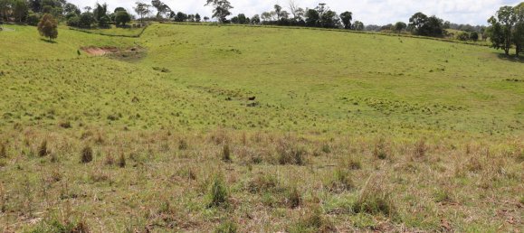 Земельный участок 80800м² в Veteran, Австралия № 954 14