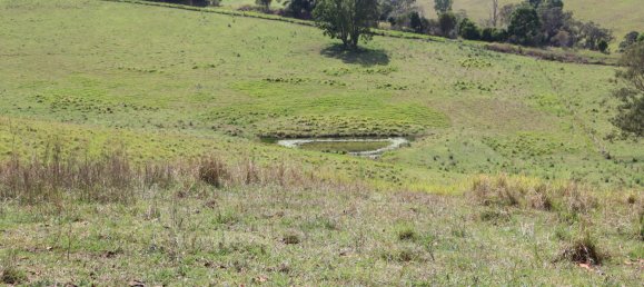 Земельный участок 80800м² в Veteran, Австралия № 954 7