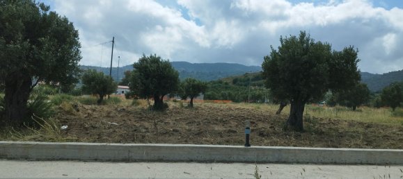 2330m² Land in Gasperina, Italy No. 143377 7
