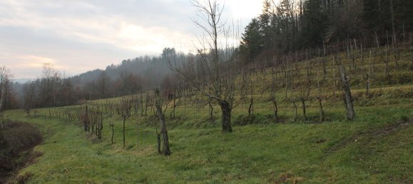 8 rooms House in Fivizzano, Italy No. 204482 4