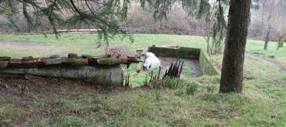 8 rooms House in Fivizzano, Italy No. 204482 9