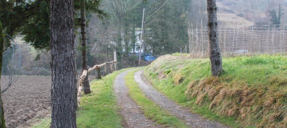 8 rooms House in Fivizzano, Italy No. 204482 30