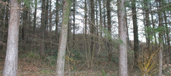 8 rooms House in Fivizzano, Italy No. 204482 10