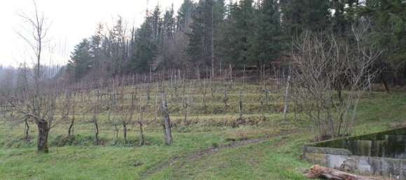 8 rooms House in Fivizzano, Italy No. 204482 5