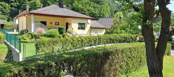 3 chambres Bungalow à Enzesfeld-Lindabrunn, Austria No. 224573 2