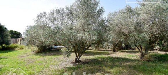 4 bedrooms House in Nules, Spain No. 129426 28