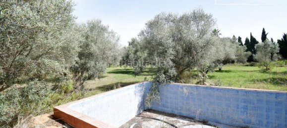 4 bedrooms House in Nules, Spain No. 129426 10