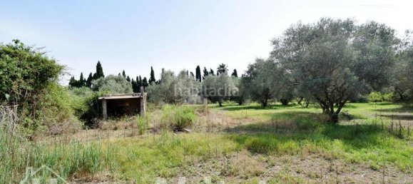 4 bedrooms House in Nules, Spain No. 129426 6