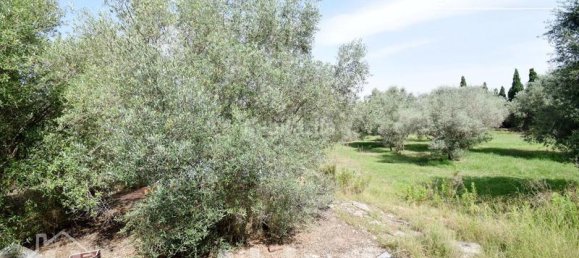 4 bedrooms House in Nules, Spain No. 129426 33