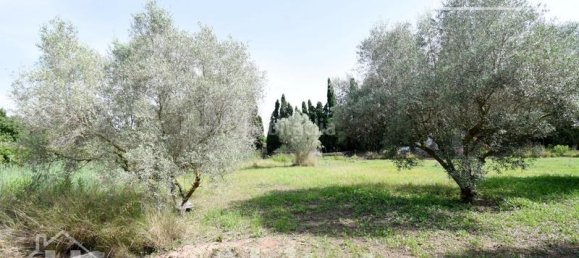 4 bedrooms House in Nules, Spain No. 129426 5