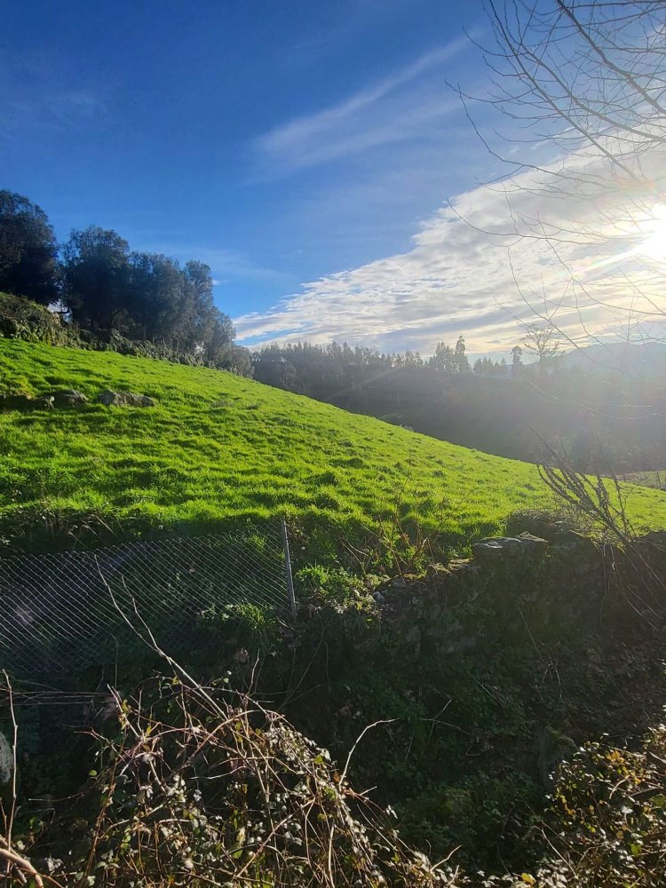  قطعة أرض في Rio Douro, Portugal 8500متر مربع رقم 40019