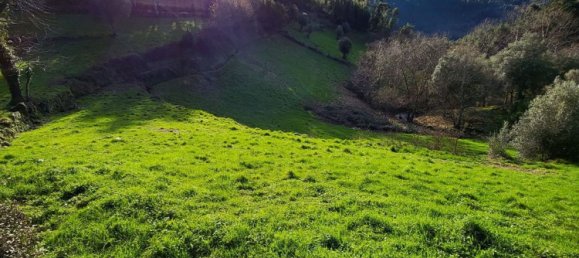  قطعة أرض في Rio Douro, Portugal 8500متر مربع رقم 40019 3