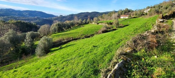  قطعة أرض في Rio Douro, Portugal 8500متر مربع رقم 40019 9