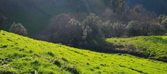  قطعة أرض في Rio Douro, Portugal 8500متر مربع رقم 40019 7