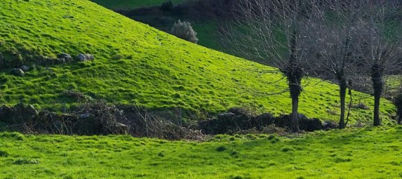  قطعة أرض في Rio Douro, Portugal 8500متر مربع رقم 40019 4