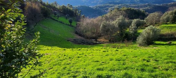  قطعة أرض في Rio Douro, Portugal 8500متر مربع رقم 40019 10