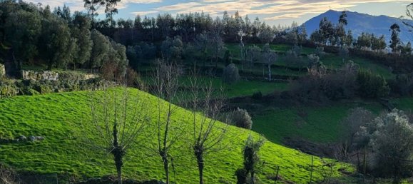  قطعة أرض في Rio Douro, Portugal 8500متر مربع رقم 40019 5